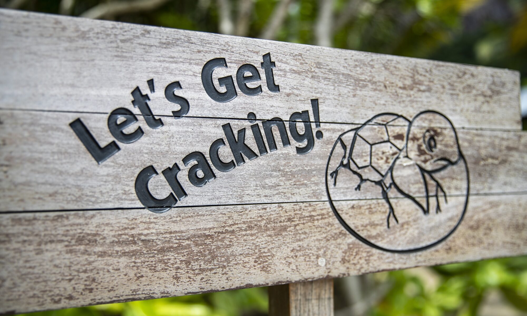 “Let’s Get Cracking” Incubation Center at Six Senses Con Dao